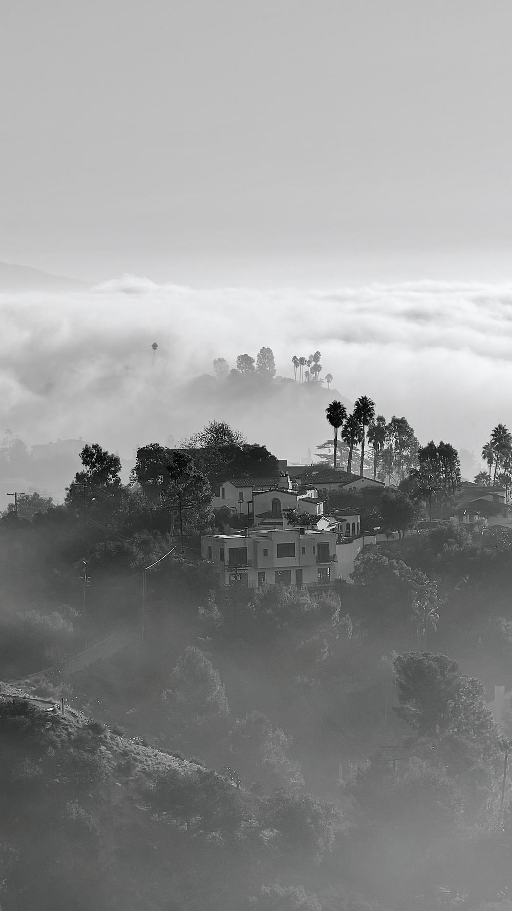 Black-and-white view of hillside homes rising out of fog, seen from Griffith Observatory